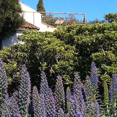 La Fourmi Du Levant Holiday home *